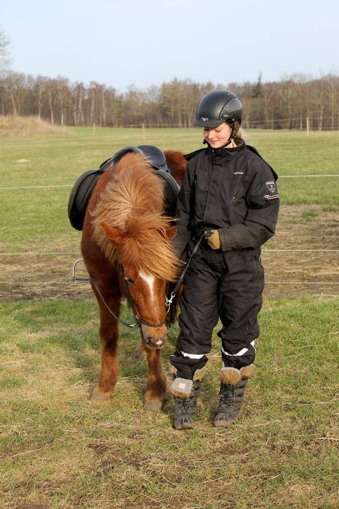 Islænder Glóblesa fra Stald Hovslag - Gloá 4 år gammel & mig  billede 29