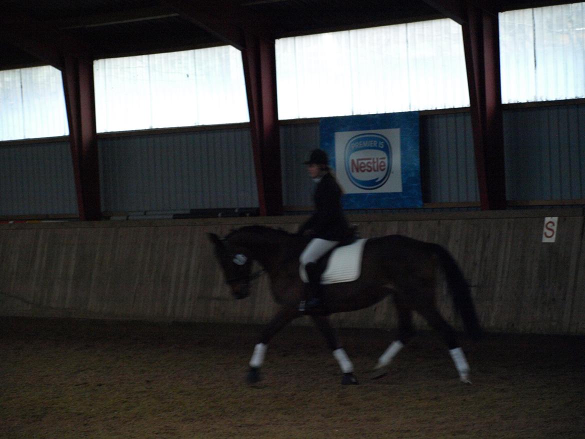 Traver Quiz billede 17