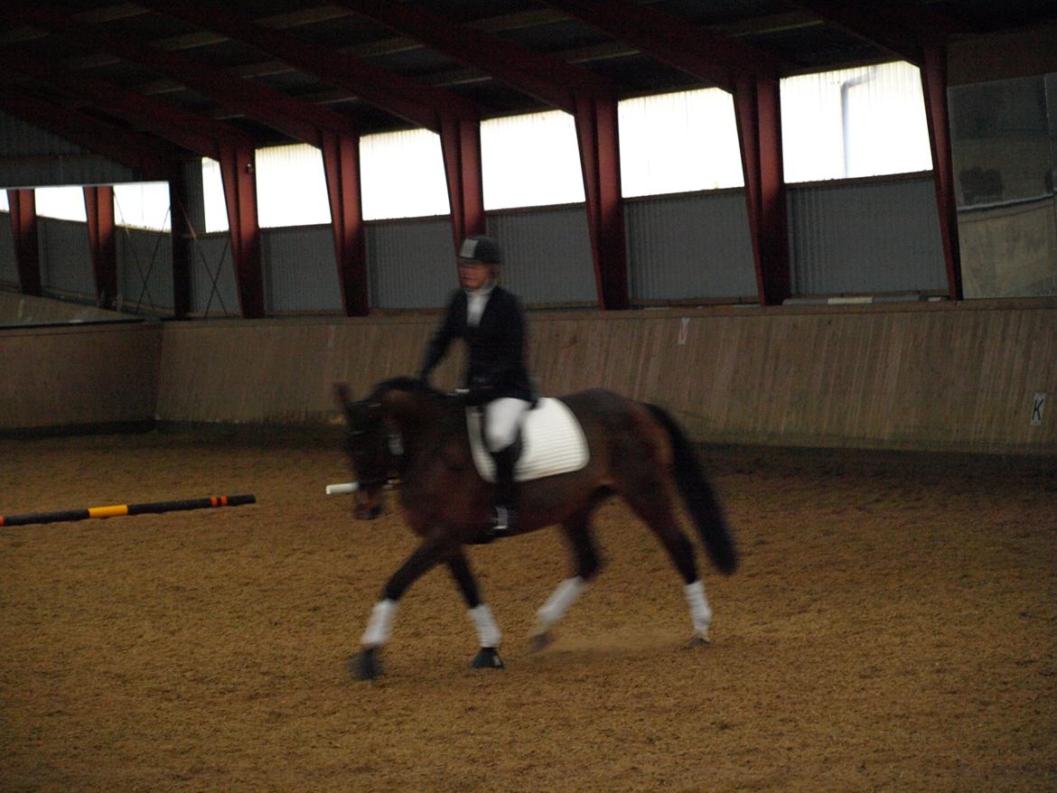 Traver Quiz billede 5