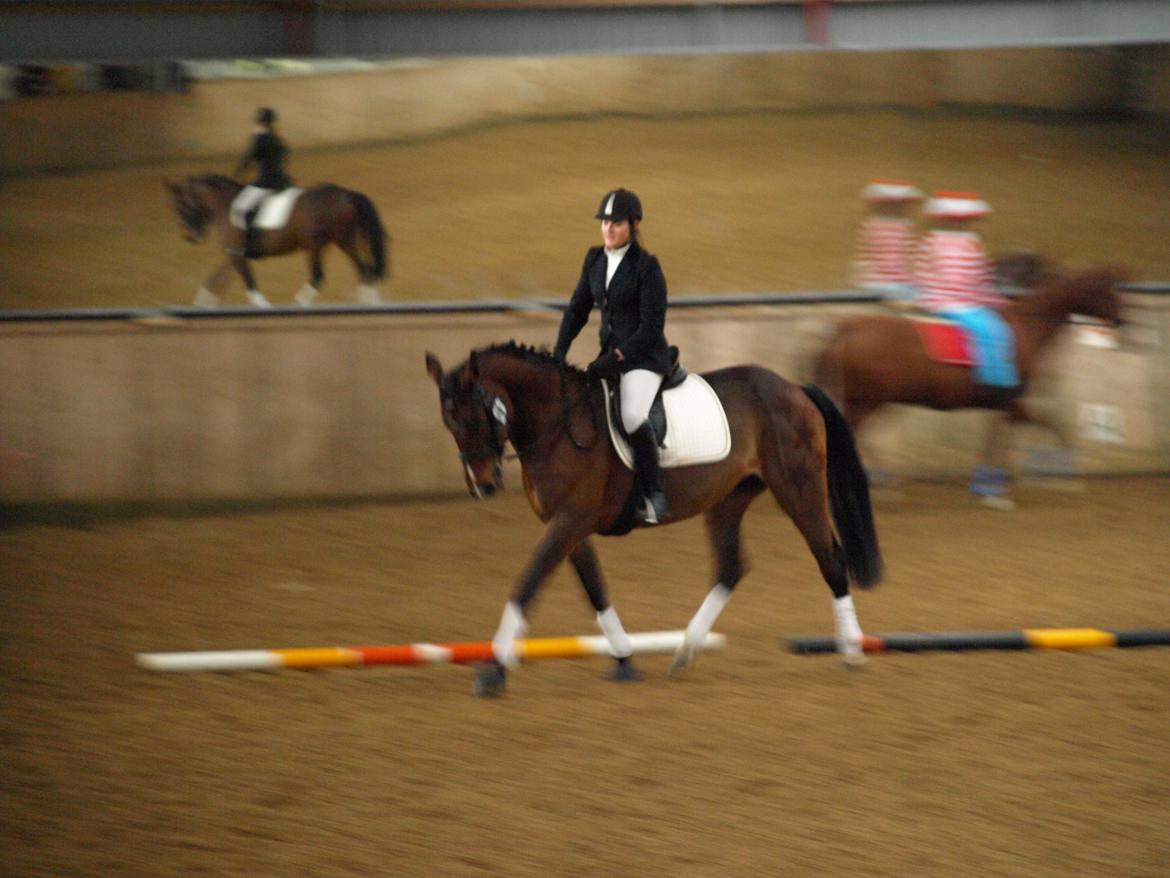 Traver Quiz billede 3