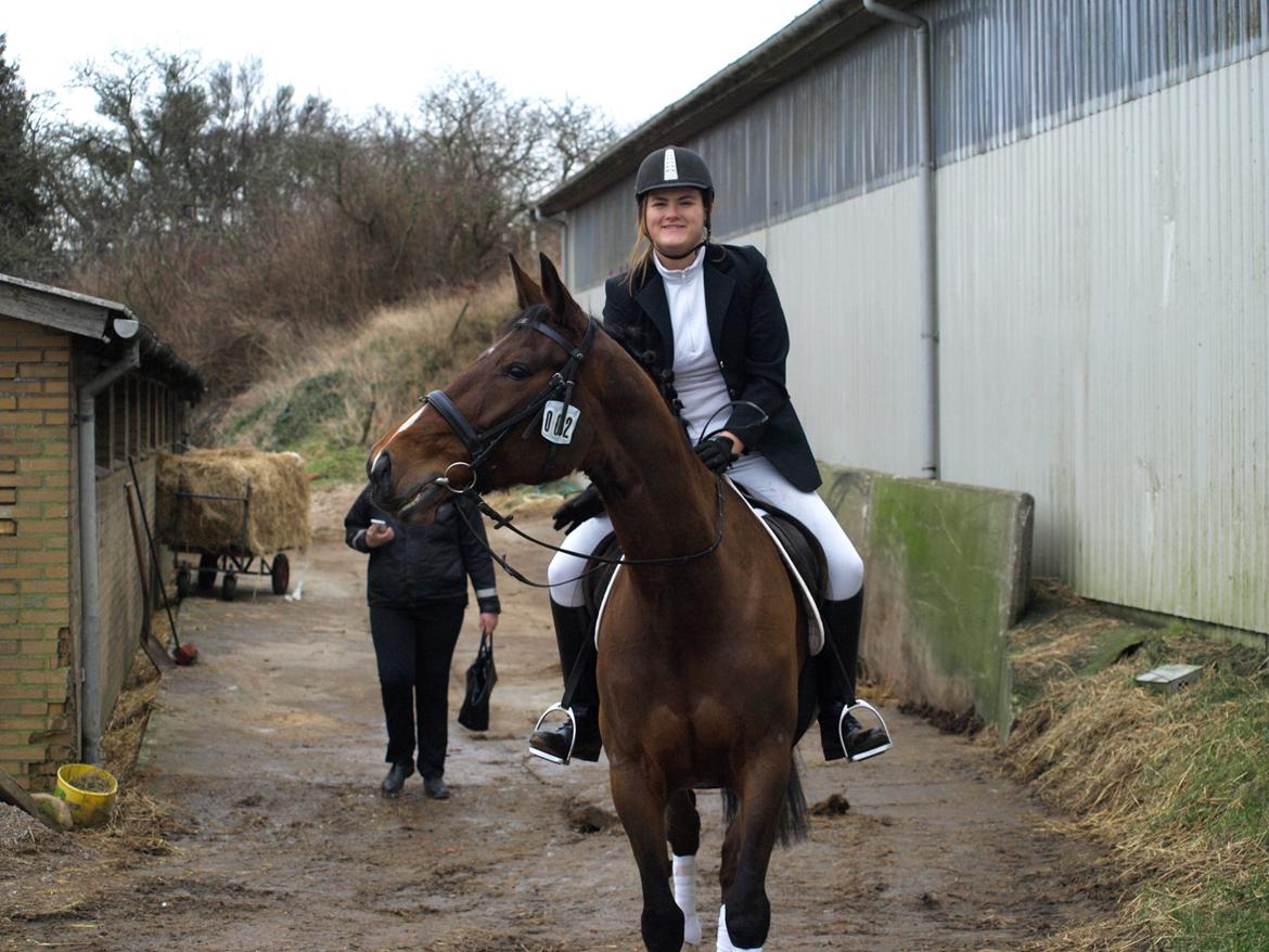 Traver Quiz - Velkommen til Quiz´ profil billede 1