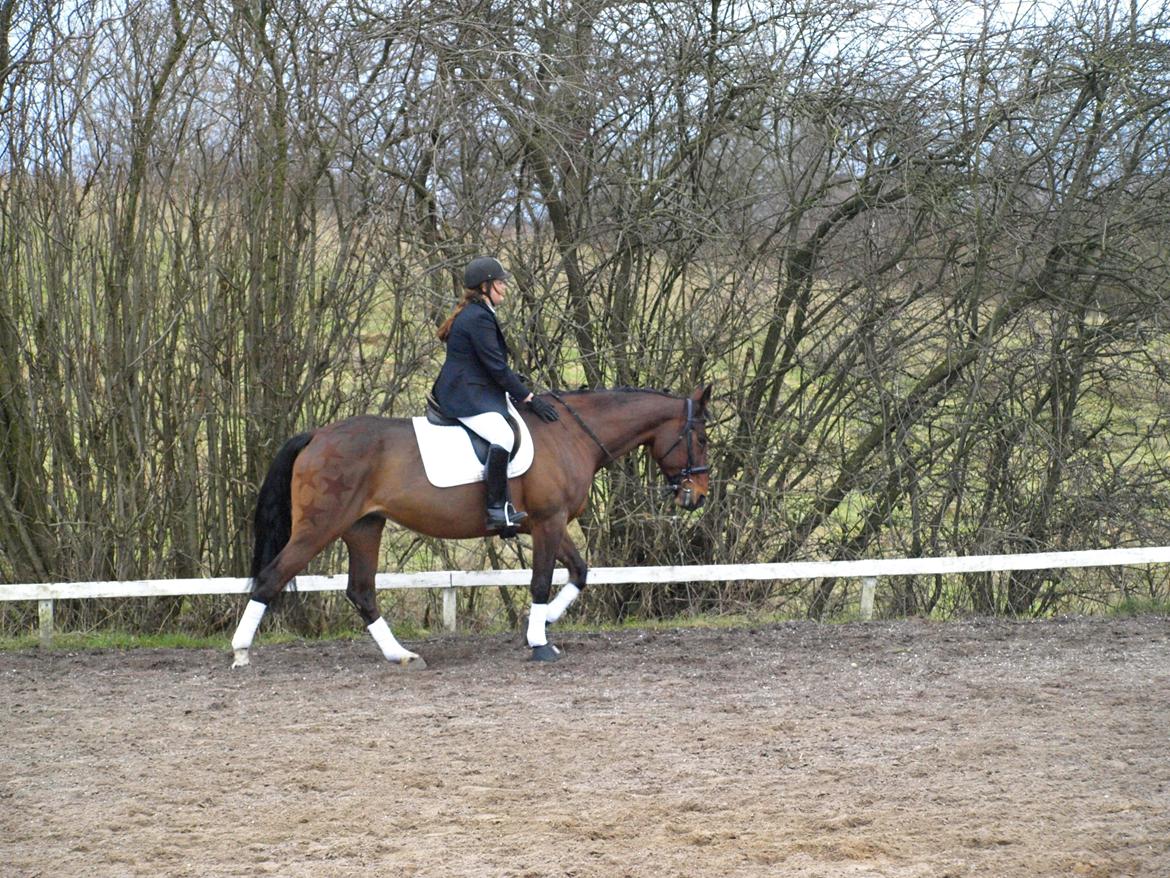 Traver Quiz billede 12