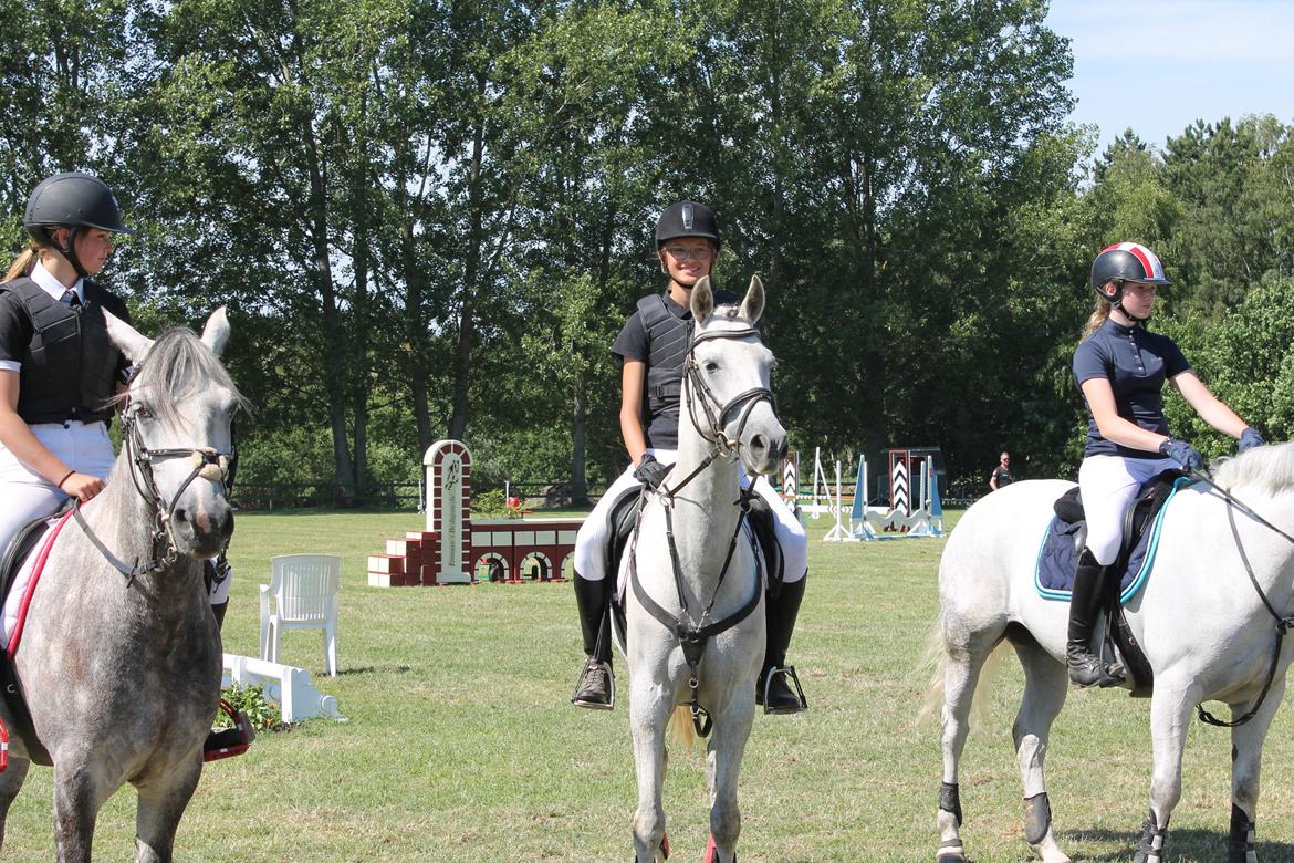 DSP Holmgaards dalí - 2. plads - D4 horseshow billede 4