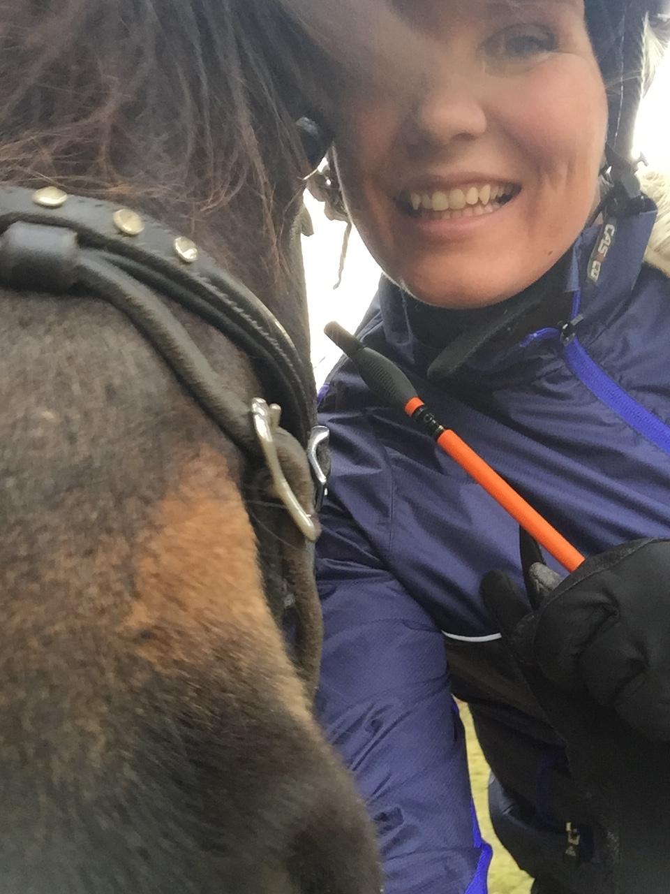 Islænder Embla Fra Flødal billede 20