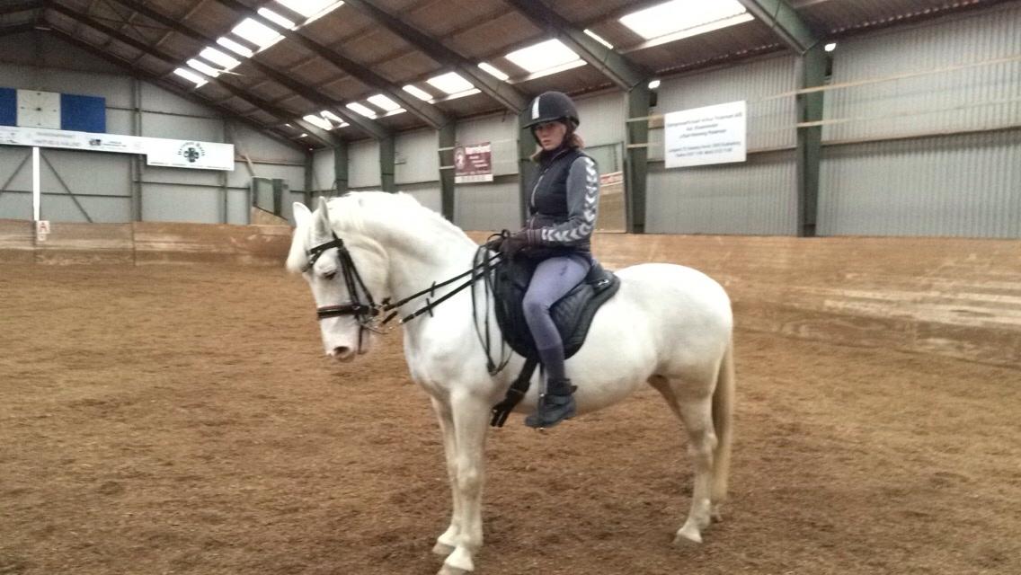 Knabstrupper Bøgelyens Dusty [tidligere hest] billede 28