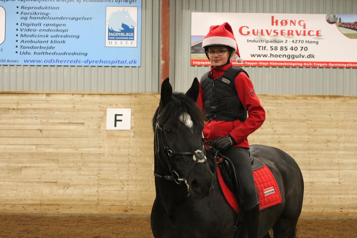 DSP Black pearl højgård billede 9