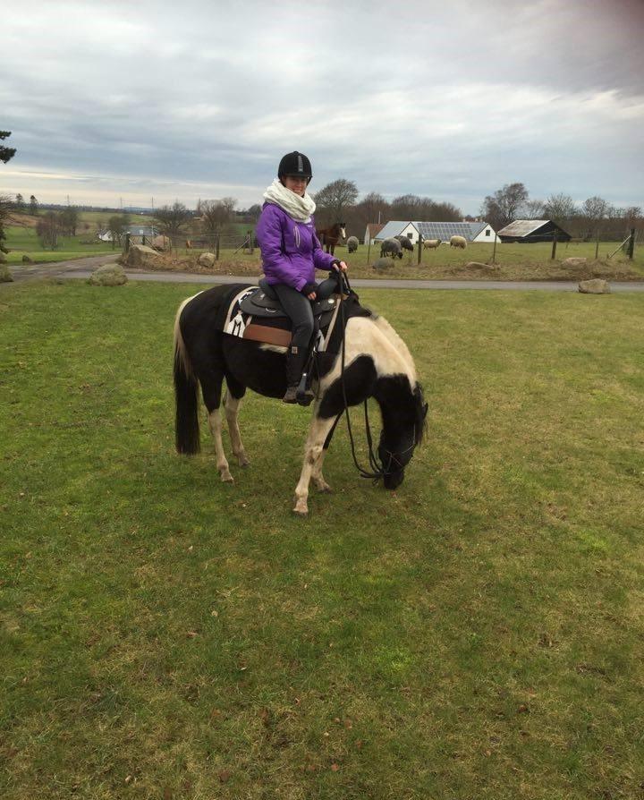 Paint ROCKYS FLYING COMET billede 4