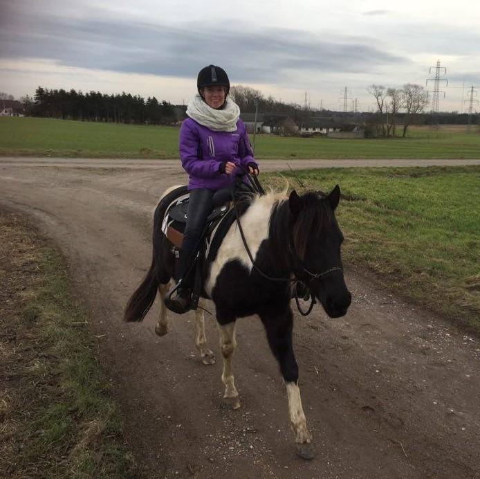 Paint ROCKYS FLYING COMET billede 5