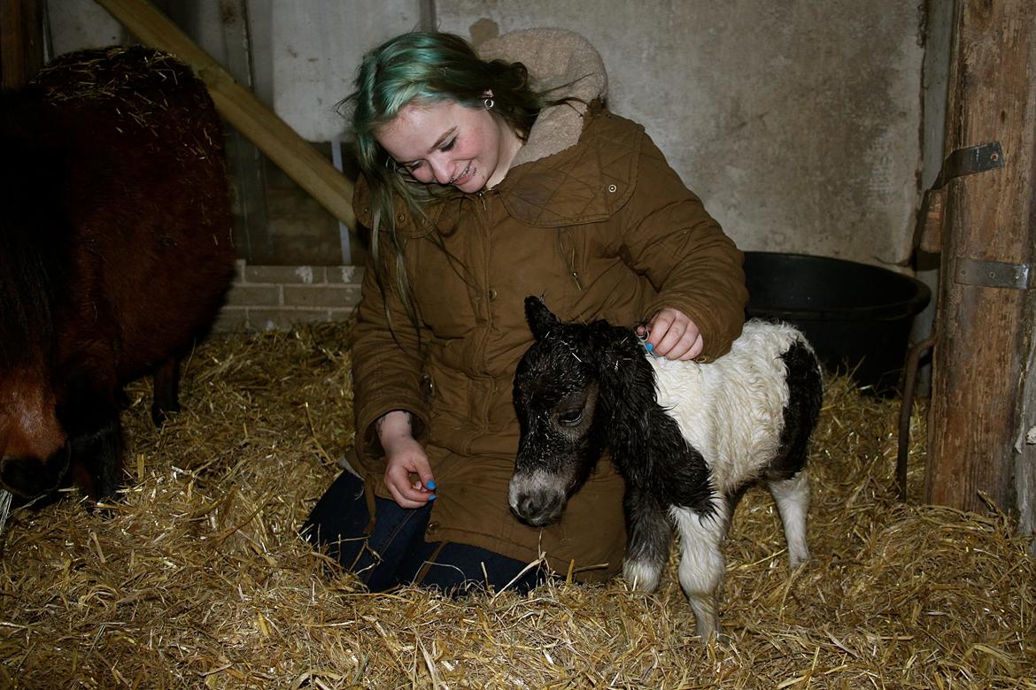 Miniature My Second Chance For Happiness - Mit første billede sammen med ham. 9 Februar 2016. billede 28