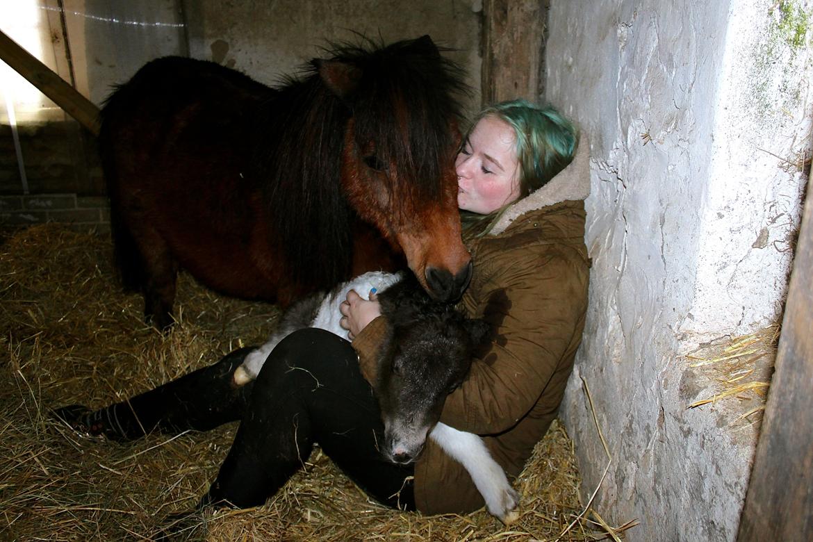 Miniature My Second Chance For Happiness - 10 Februar 2016. billede 31