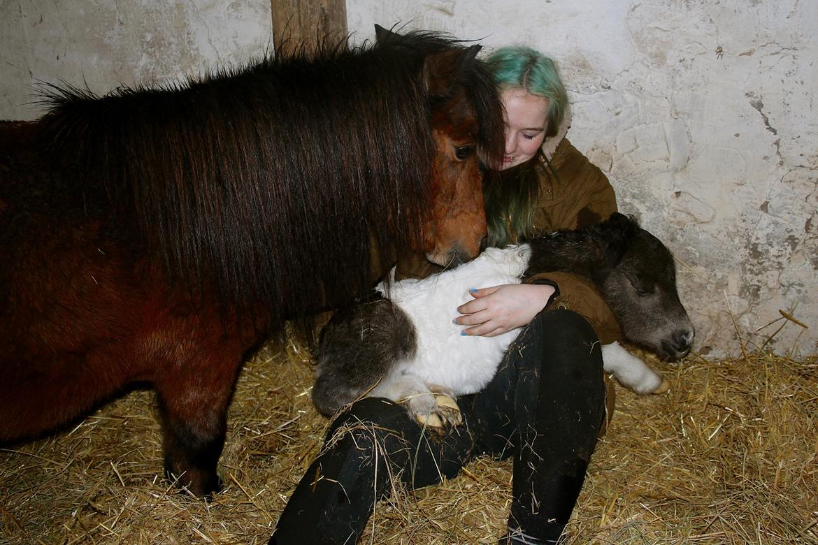 Miniature My Second Chance For Happiness - 10 Februar 2016. billede 35