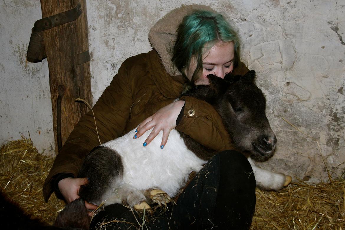 Miniature My Second Chance For Happiness - 10 februar 2016. billede 40