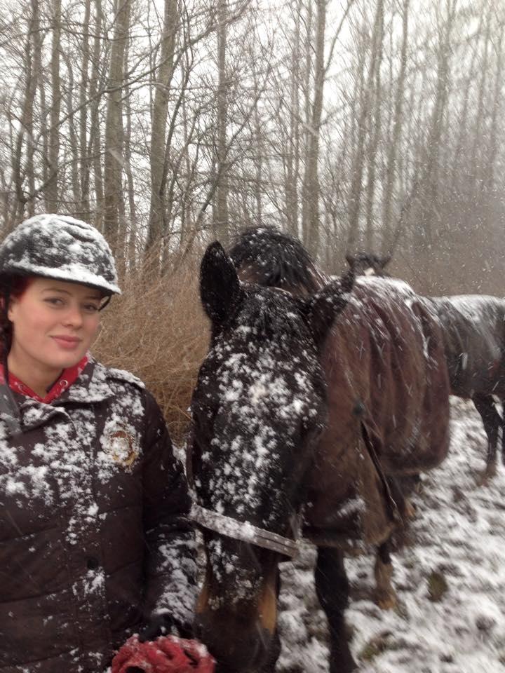 Tysk Oldenburger Savá-L billede 8