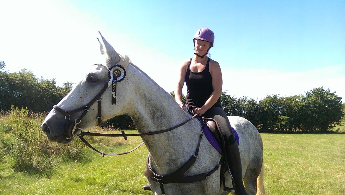 Dansk Varmblod Venus - subarucup 2015 billede 17