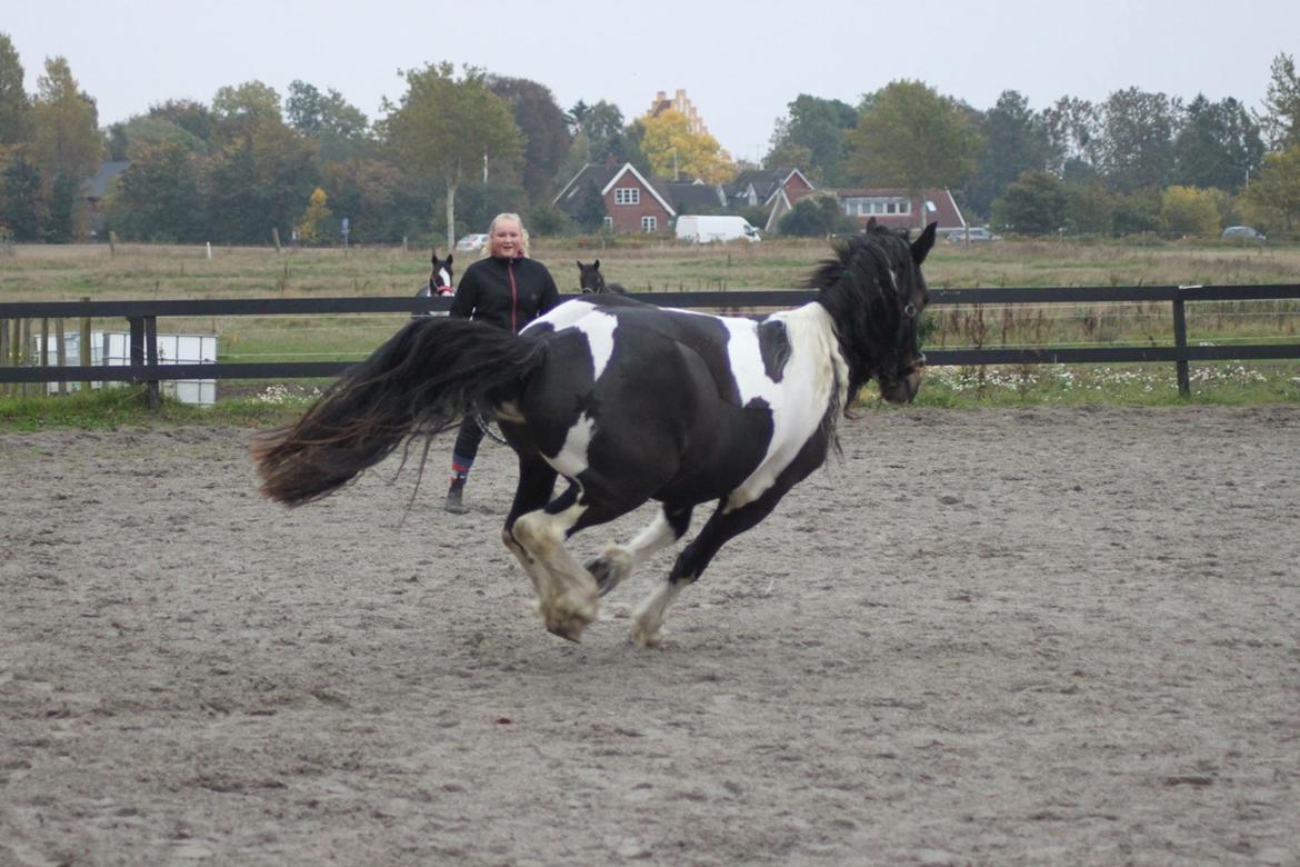 Anden særlig race Ralph billede 5