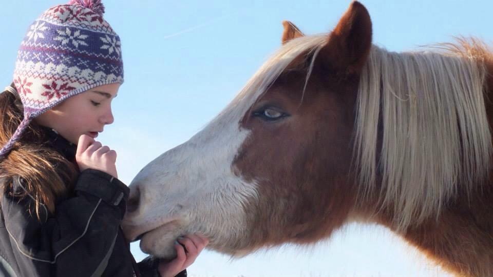 Anden særlig race Goodie Blue - Februar 2015 billede 10