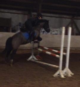 Anden særlig race Silver - Silver og jeg <3 billede 6