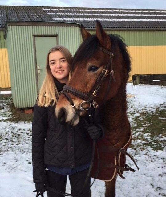 Anden særlig race Ole - <3 billede 9