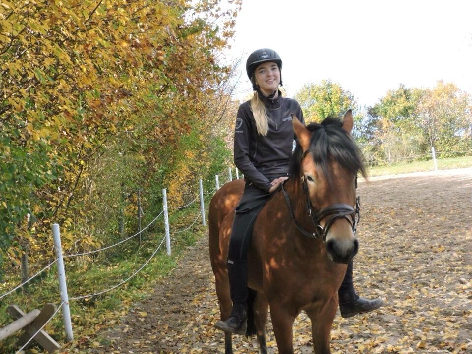 Anden særlig race Ole - <3 billede 16