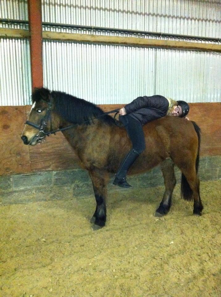 Anden særlig race Else { part } billede 8