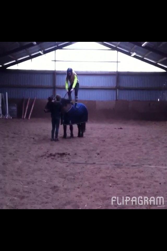 Anden særlig race Else { part } billede 5