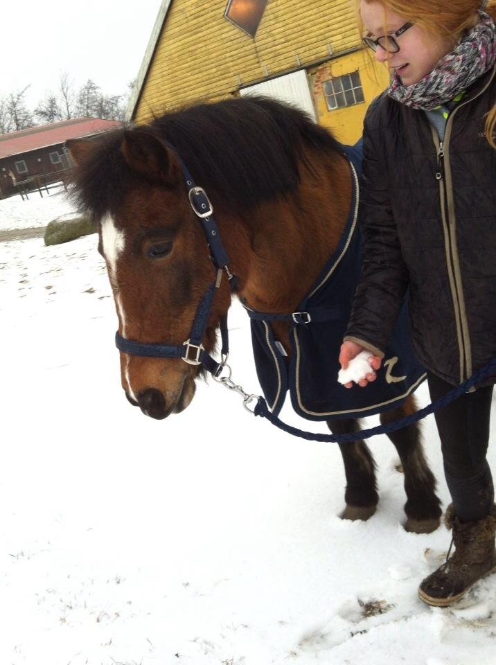 Anden særlig race Else { part } billede 12