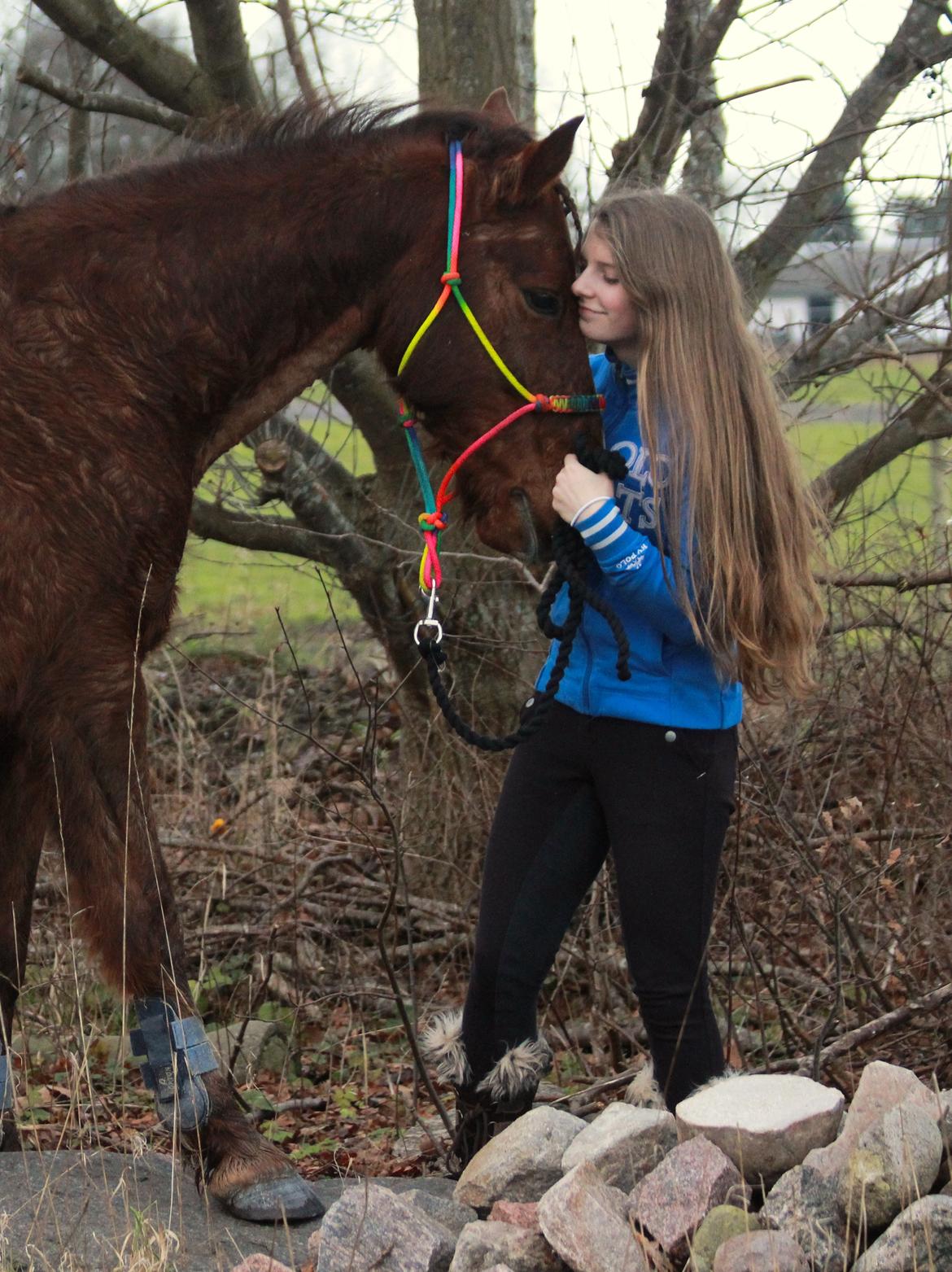 Anden særlig race Quincy of Ivanhoe - Sødeste ven <3 billede 4