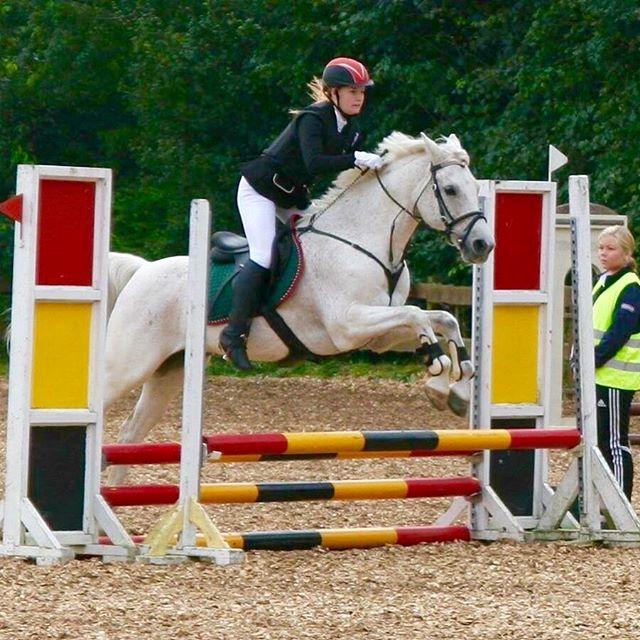 Anden særlig race Amadeus - fuld fart frem til stævne billede 16