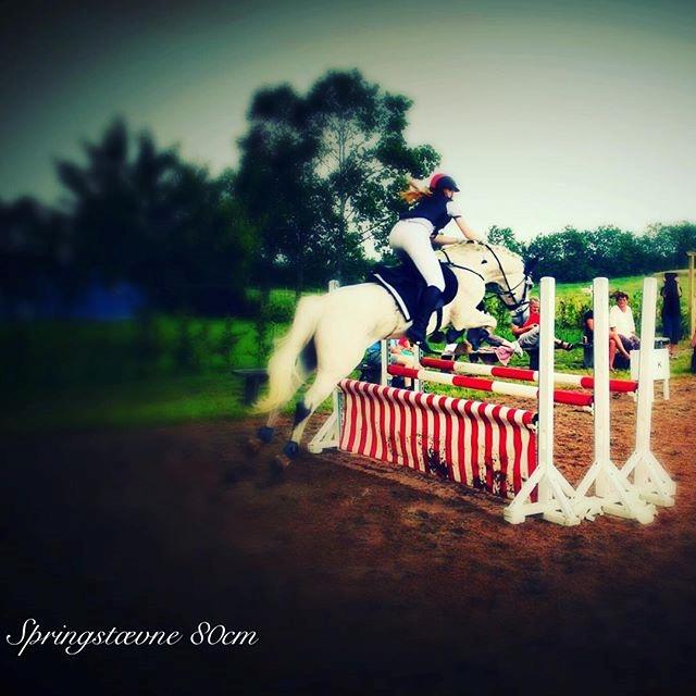 Anden særlig race Amadeus billede 18