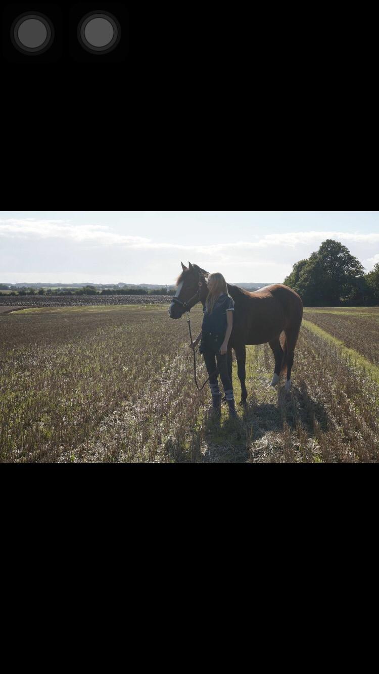 Anden særlig race Bakkegårds Sikita billede 5