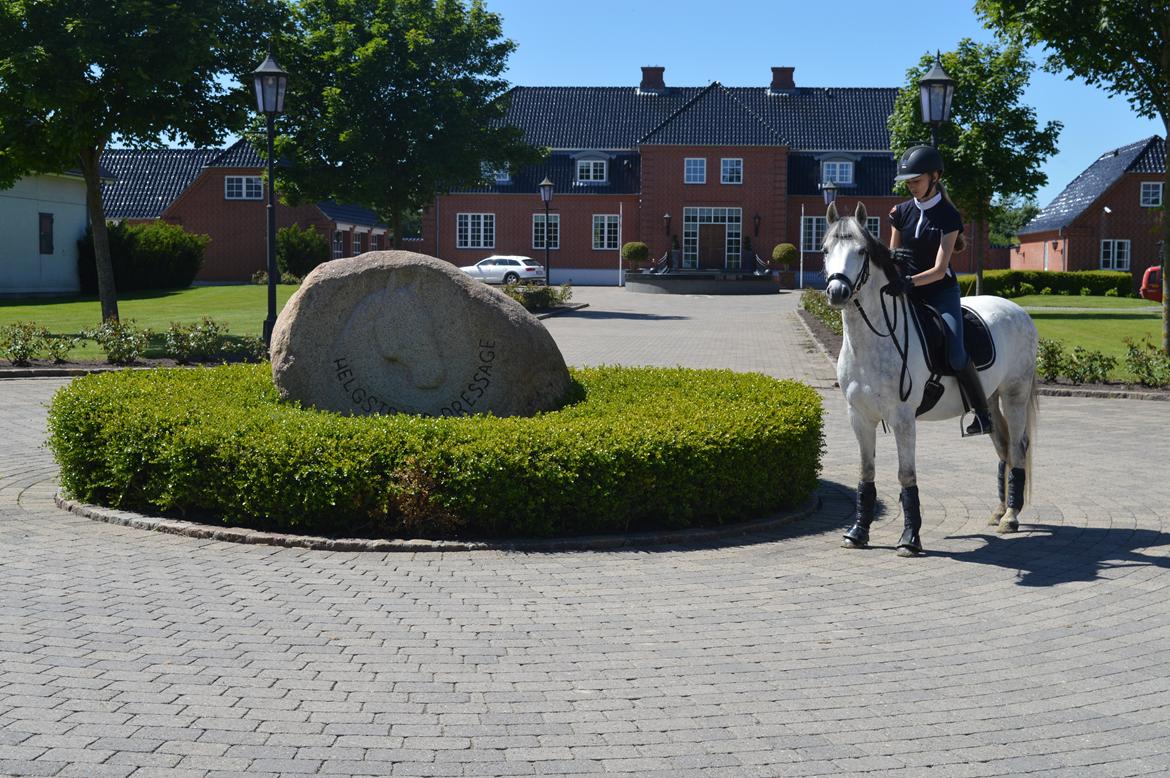 DSP Jean Le'Penn A PONY  billede 4