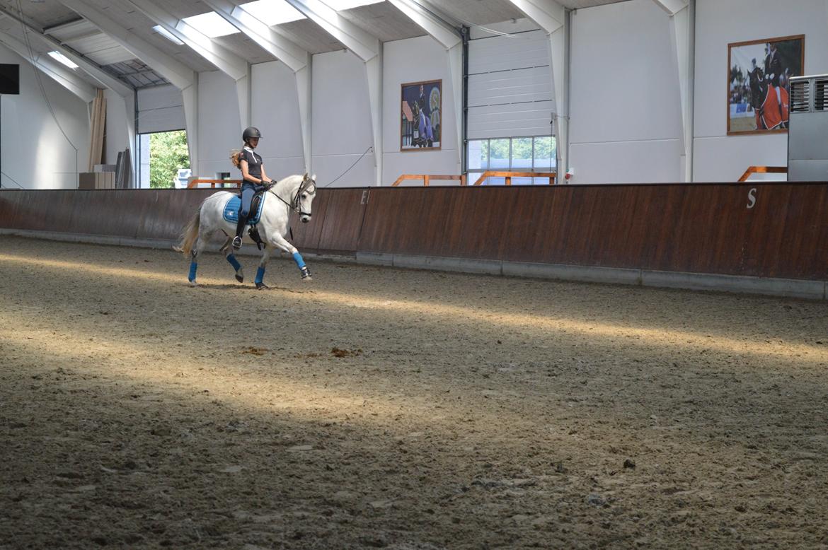 DSP Jean Le'Penn A PONY  billede 9