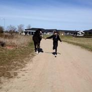 Anden særlig race Buster