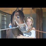 Anden særlig race Buster