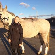 Anden særlig race Playboy Comet