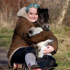 Miniature My Second Chance For Happiness