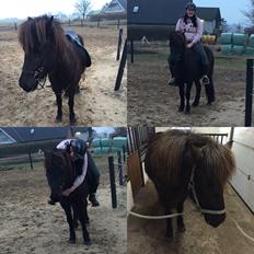 Islænder Vigdis fra Klitgaard.