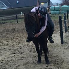 Islænder Vigdis fra Klitgaard.