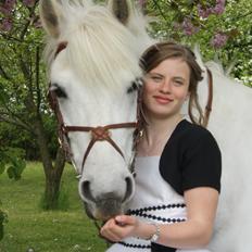 Anden særlig race MR. Mayson