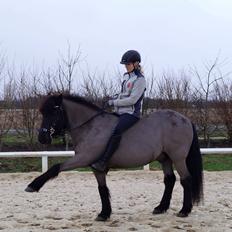 Islænder Freki fra Truust