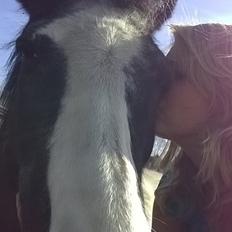 Anden særlig race Musse