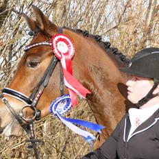 New Forest Vognmandgårdens Bernadotte