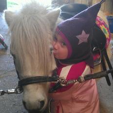 Shetlænder Cirkeline