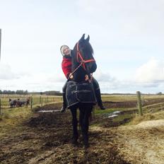 Frieser Lobke Fan It Jaachpaad