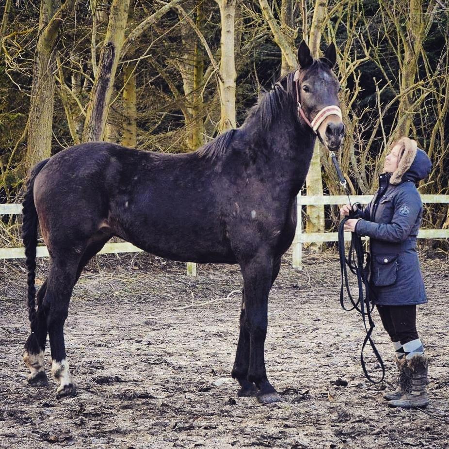 Oldenborg Bøgelinds gunilla billede 8