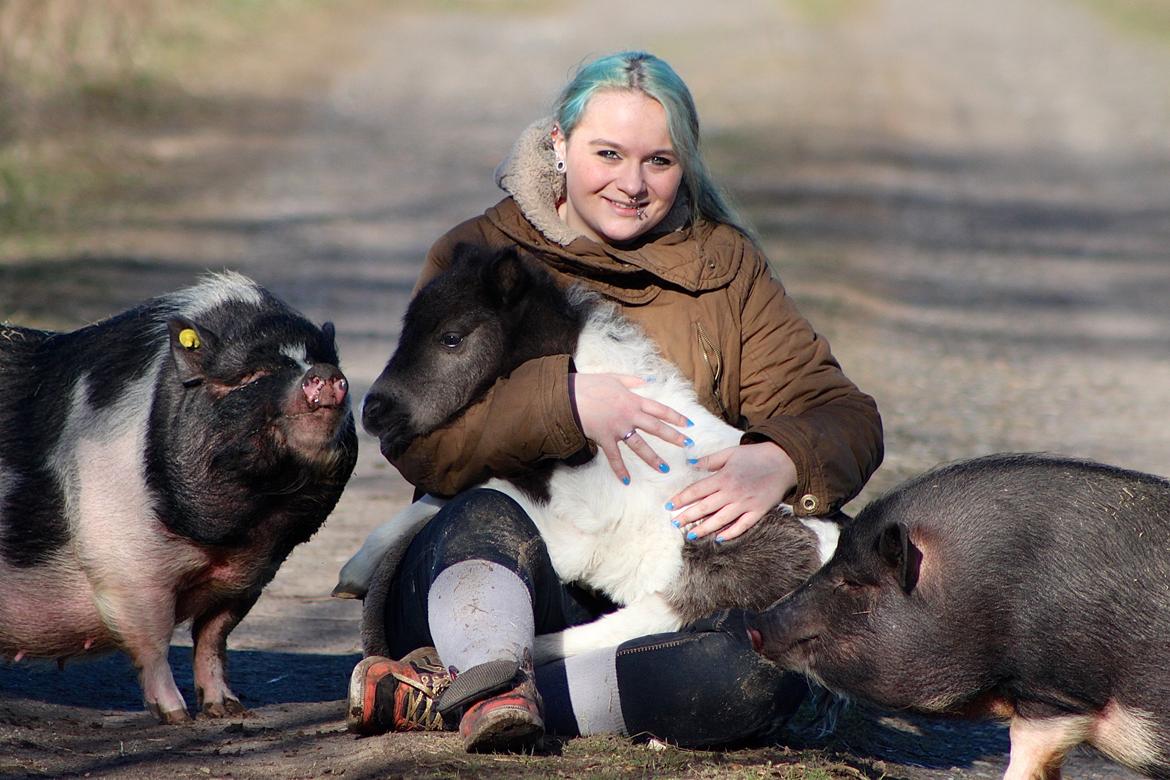 Miniature My Second Chance For Happiness - Happy 1 uge gammel. 16 Februar 2016. billede 8