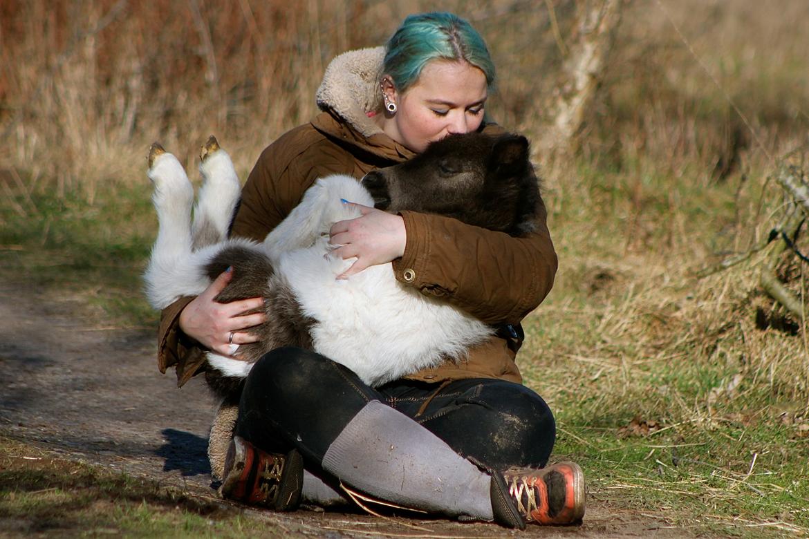 Miniature My Second Chance For Happiness - Happy 1 uge gammel. 16 Februar 2016. billede 9