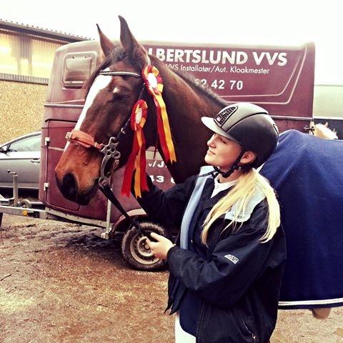 Dansk Varmblod Parvenu - Første stævne sammen, på GLK, fejlfri 80 og 90 cm 2016 billede 18