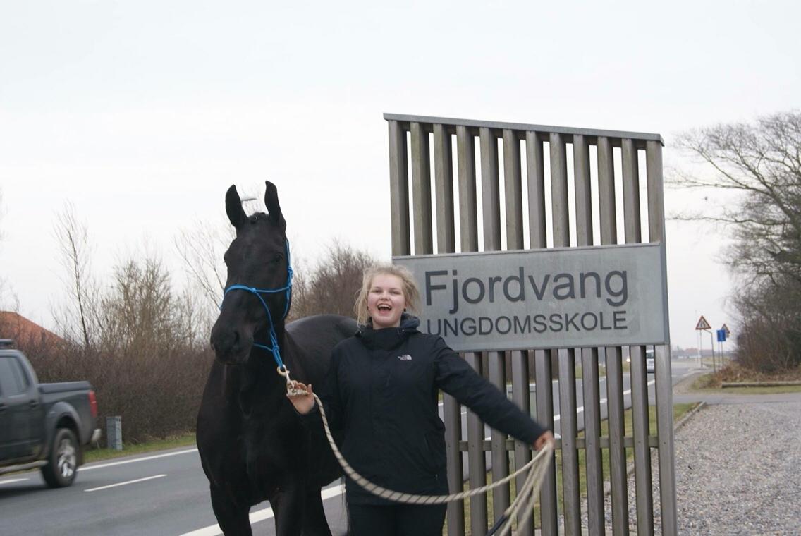 Oldenborg Azur billede 6