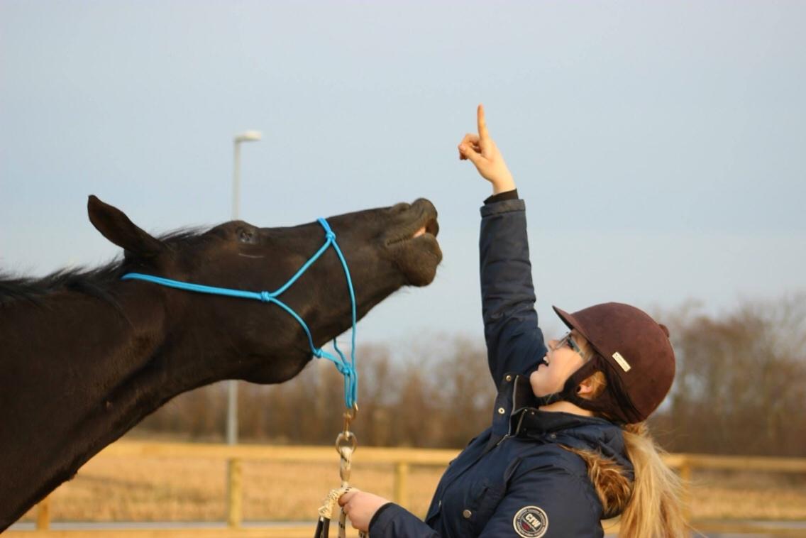 Oldenborg Azur billede 8